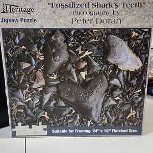 Fossilized Shark Teeth 550 Piece Puzzle